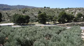Almocaizar Cassa Rural B&B - Image 3