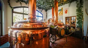 Brauerei Zwönitz - Image 2