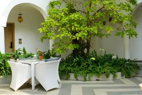 Bougainvillea - Image 5