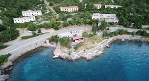 Mali delfin - Image 3