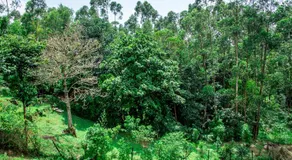 Etana Cottage Kakamega - Image 2