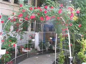 Hotel Aurora - Image 2