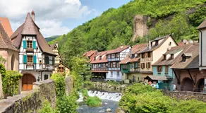 Origin'Alsace - Image 4
