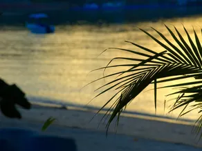 At Samui Haus - Image 5