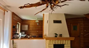 Forest House - Image 2