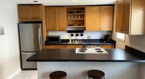 Lovely Two Bedroom Condo in South Boston - Image 3