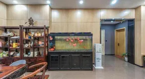 Thank Inn Hotel Zhejiang Ningbo Haishu Yinzhou Avenue Metro Station - Image 5
