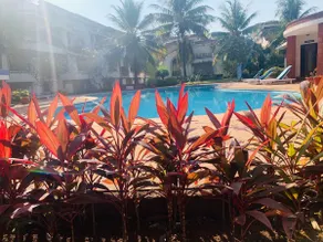 Pool View Cozy 1 BHK Apartment - Image 5
