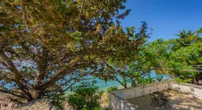 Galeb - Image 3