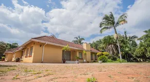 Palm villa - Image 5
