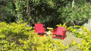 RafJam Bed & Breakfast - Image 5