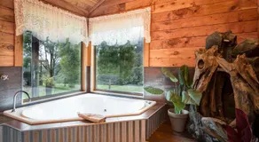 Rustic Hut Bush Retreat - Image 2