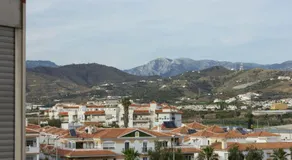 Berolina - Image 5