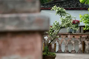 Zhuhai Shuangxi Courtyard Hotel, Weinan - Image 3