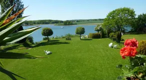 Fischreiher 1 - Image 3