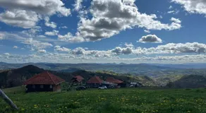 Šebovina Jelova gora - Image 5