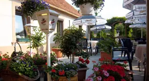 Hotel & Pension Aßmann - Image 5