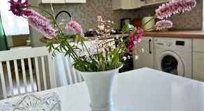 Short stay next to Palanga - Image 5