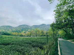 Hangzhou Minghuangju (Xihu Scenic Area) - Image 4