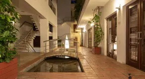 Virrey Eslava 120 Luxury Guesthouse - Image 4