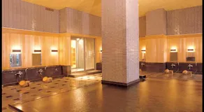 Hotel Saginoyu - Image 5
