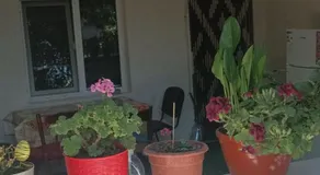 Casa Diana - Image 4