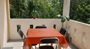 Jardín de los Anturios, Xico - Image 4