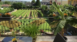 Bed and Breakfast - Rheingauer Hof - Image 3