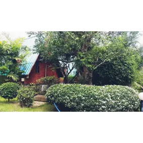 Sapphaya Resort - Image 3