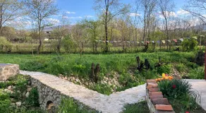 Woodland Ruispiri - Image 5