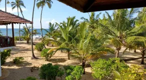 Tropical Garden - Image 2