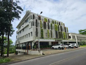 Vine and Canopy - Image 1