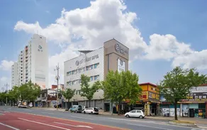 Daegu Kyungpook University Brown Dot - Image 3