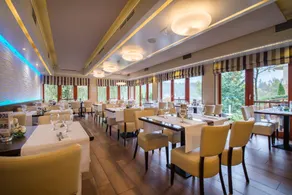 Tó Wellness Hotel - Image 5