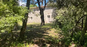 Le cabanon de la bergerie - Image 4