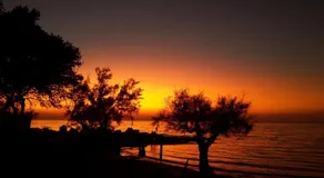 Happy Camp mobile homes in Camping La Vecchia Torre - Image 4