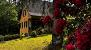 'Les Comètes' B&B - Lacaujamet - Image 5