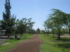 Nehemiah International - Image 5