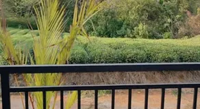 Vaango Cottages - Image 5