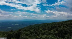 Buena Vista - Image 3