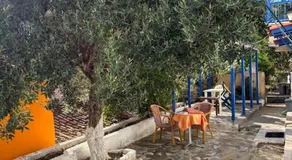 Olive Stonehouse - Image 4