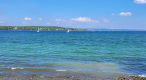 Charmante Waldrandidylle - Image 3