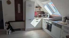 Ferienwohnung Rheinwald - Image 4