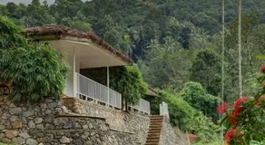 Thenmala Ecoresort - Image 5
