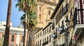 HNN GRANADA - Image 5