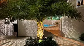 Villa at St. James Place “H”, Luxury, Pet Friendly - Image 5