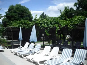 Hotel Markushof - Adults only - Image 4
