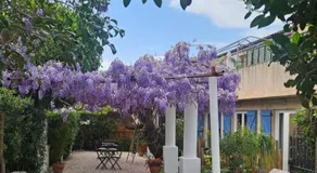 Chez Louis - Image 4