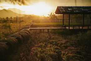 Yidan's Permaculture Farmstay - Image 3