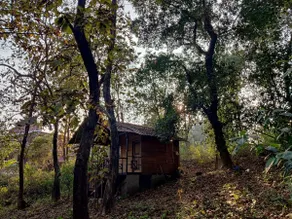 Unwind in Nature @ The Moonlit Stream - An ecostay - Image 5